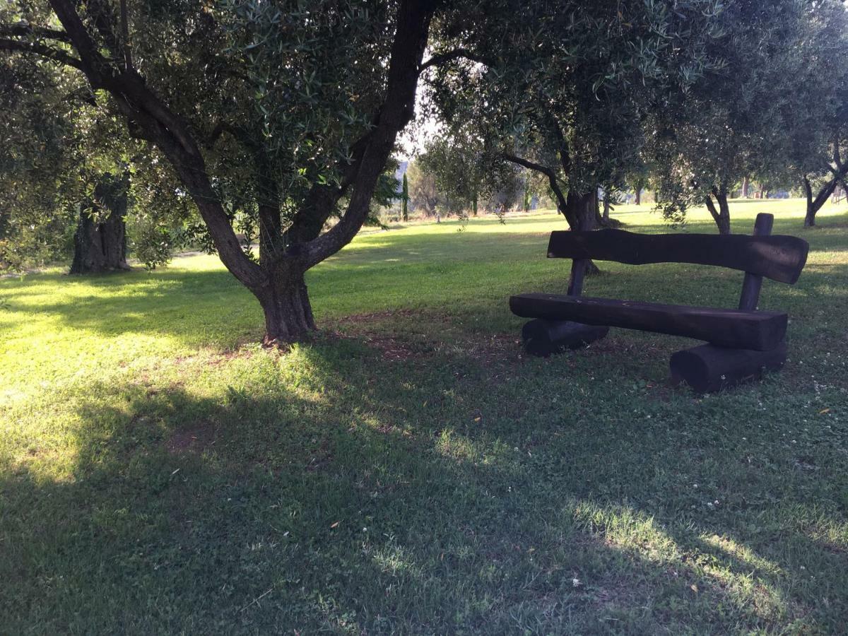 לינה וארוחת בוקר ואלו דלה לוקניה Corbezzolo מראה חיצוני תמונה